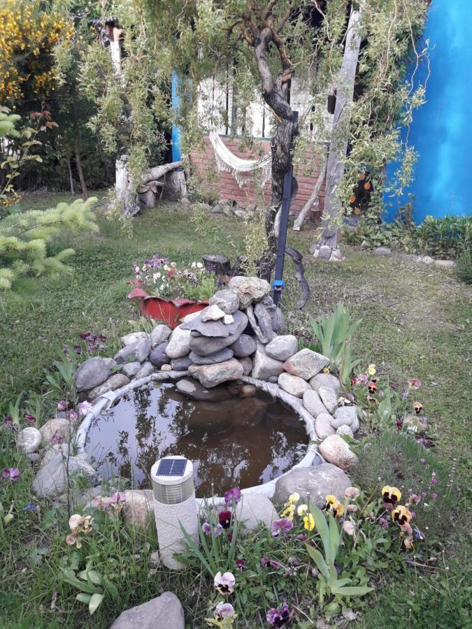 Kiritina'S House Homestay Ел Калафате Екстериор снимка