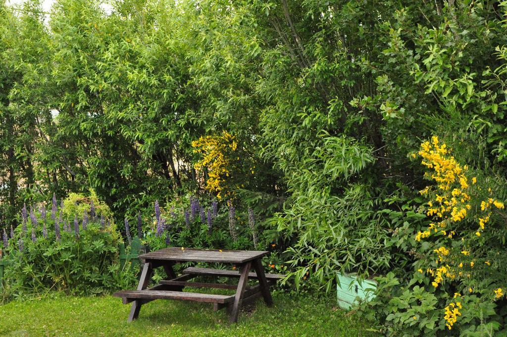 Kiritina'S House Homestay Ел Калафате Екстериор снимка